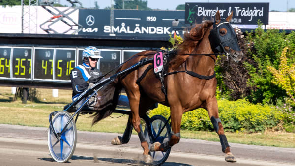 Foto: MIKAEL ROSENQUIST / TR BILD