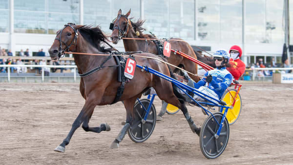 Foto: MIKAEL ROSENQUIST / TR BILD