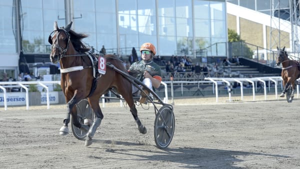 Foto: LARS JAKOBSSON / TR BILD