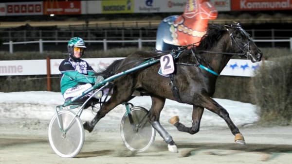 Foto: MICKE GUSTAFSSON/ALN