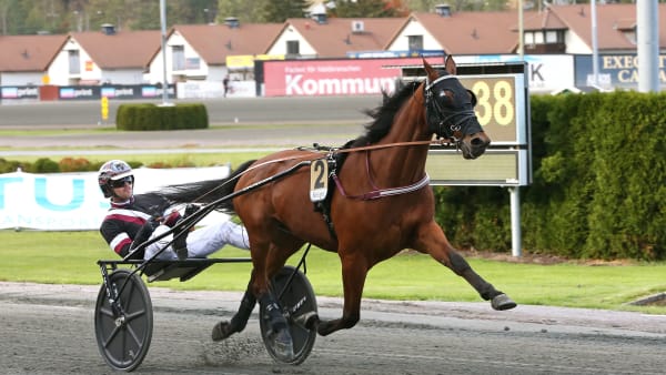 Foto: MALIN ALBINSSON/TR BILD