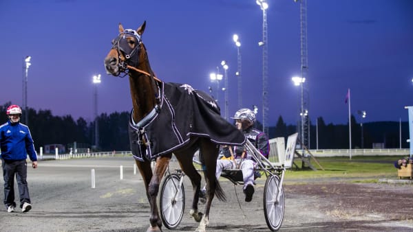 Foto: PETRA ÄLVSTRAND