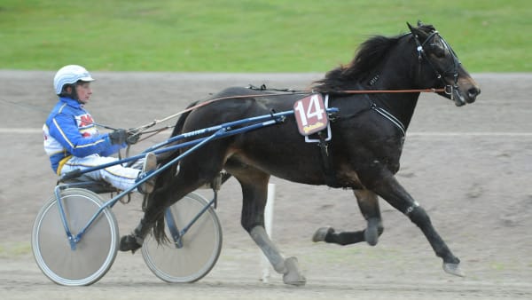 Foto: LARS JAKOBSSON / TR BILD