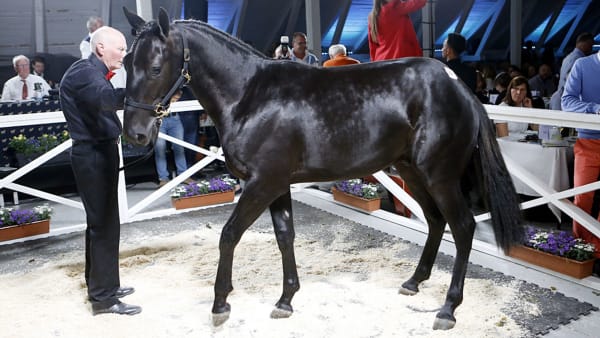 Foto: MATILDA ÖHRMAN