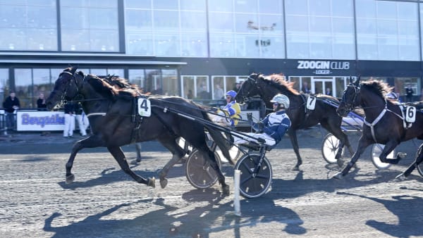 Foto: LARS JAKOBSSON / TR BILD