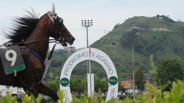 Foto: Tony Ryttar/TR Bild