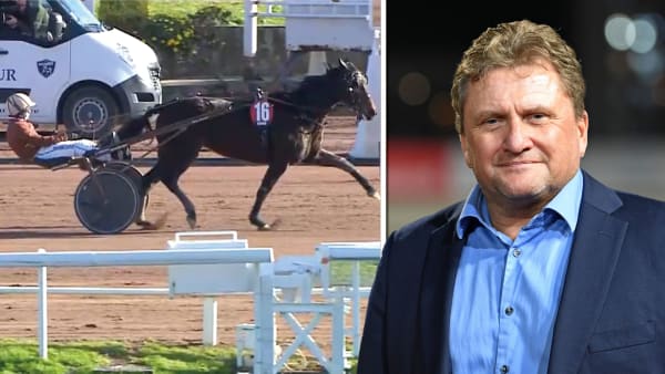 Foto: LE TROT/TR BILD