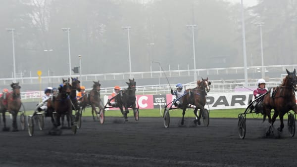 Foto: GERARD FORNI