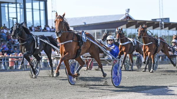 Foto: MALIN ALBINSSON / TR BILD