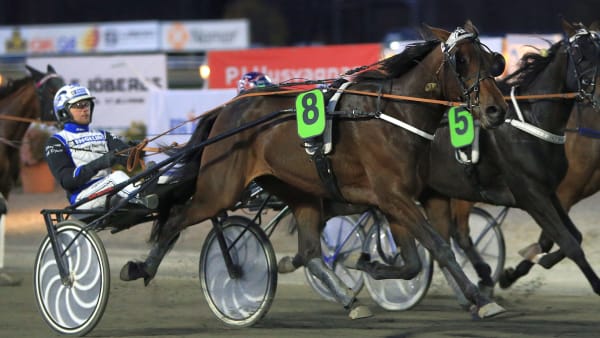 Foto: GIRLPOWER HB/TR BILD