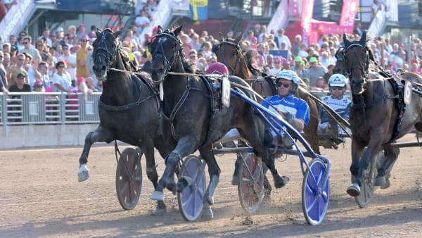 Foto: LARS JAKOBSSON / TR BILD