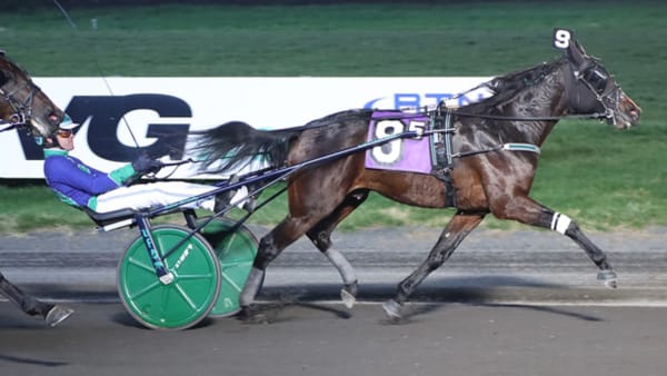 Foto: MICHAEL LISA/LISA PHOTO