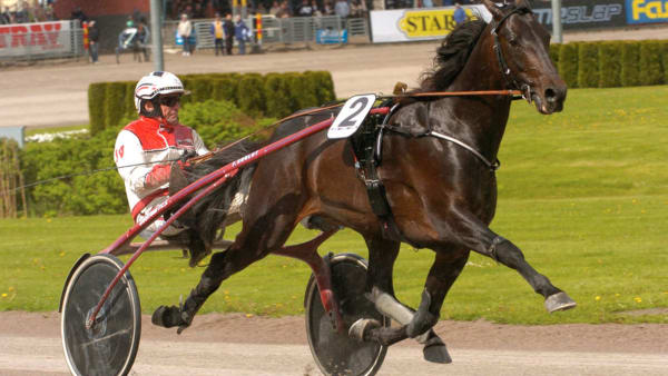 Foto: MARTIN LANGELS/ALN