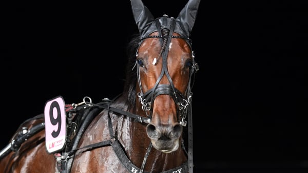 Foto: MALIN ALBINSSON / TR BILD