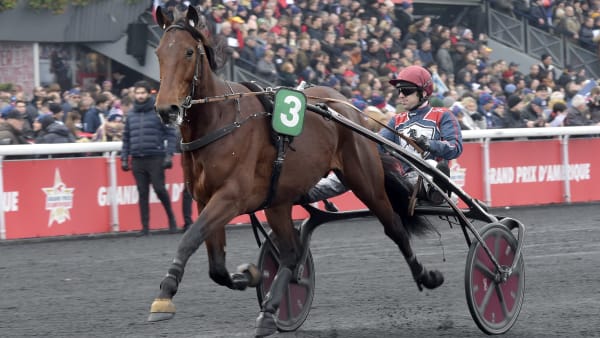 Foto: LARS JAKOBSSON / TR BILD