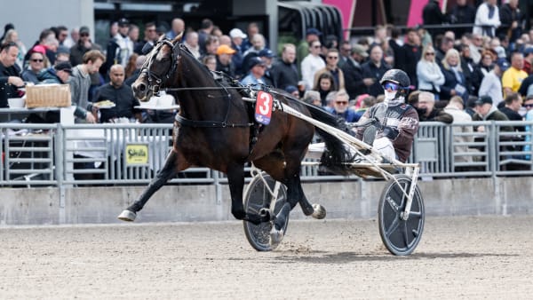 Foto: LENA EMMOTH / TR BILD