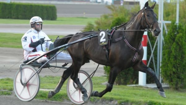 Foto: LEIF NORBERG/ALN