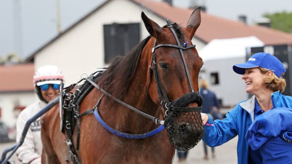 Foto: Matilda Öhrman/TR Bild