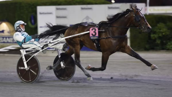 Foto: ROGER SVALSRÖD/HESTEGUIDEN