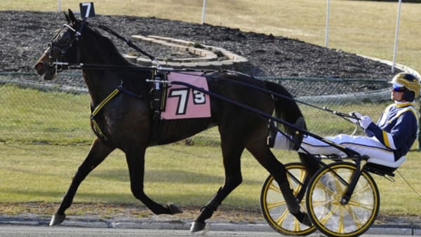 Foto: Simon Hagen/stalltz.se