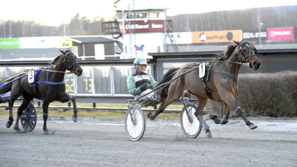 Foto: LARS JAKOBSSON / TR BILD