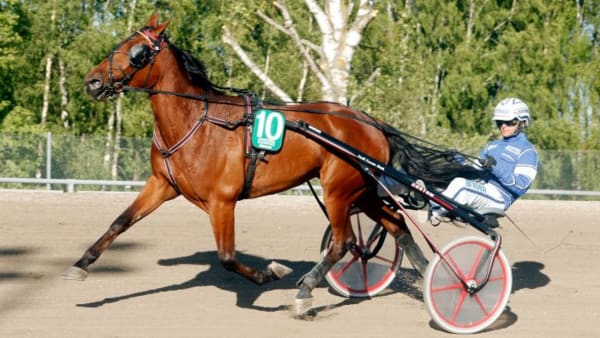 Foto: MICKE GUSTAFSSON/ALN