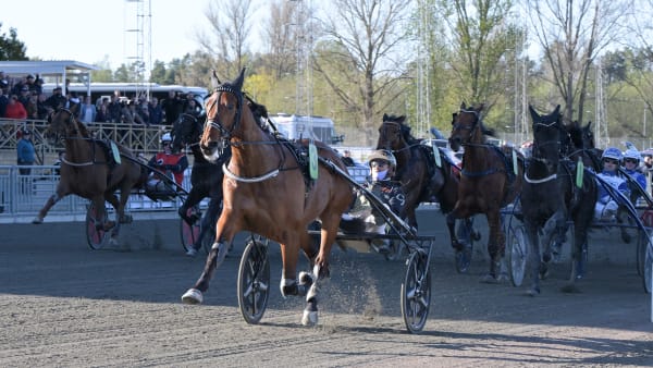 Foto: LARS JAKOBSSON / TR BILD