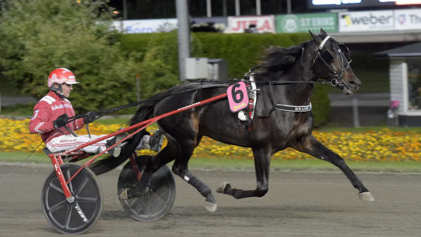 Foto: LARS JAKOBSSON / TR BILD