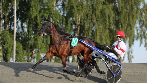 Foto: MARIA HOLMÉN / TR BILD