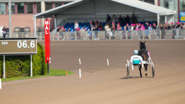 Foto: THOMAS BLOMQVIST / TR BILD