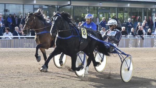 Foto: Leif Norberg/ALN