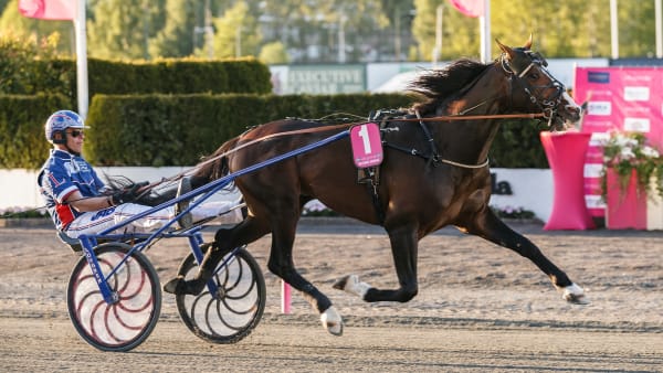 Foto: LENA EMMOTH / TR BILD