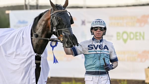 Foto: JENNY REHNMAN / TR BILD