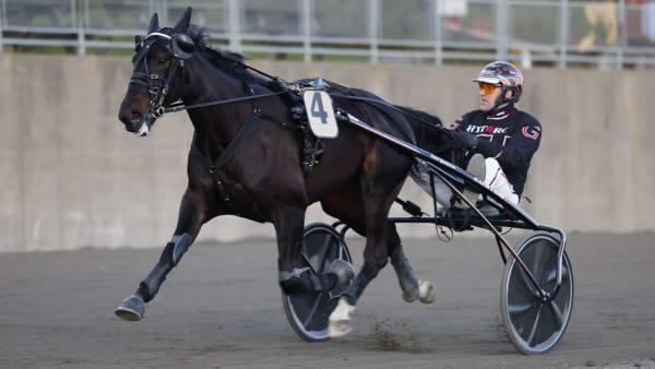 Foto: ROGER SVALSRÖD/HESTEGUIDEN