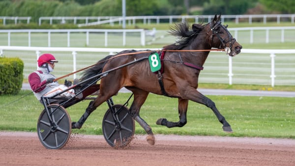 Foto: THOMAS BLOMQVIST / TR BILD