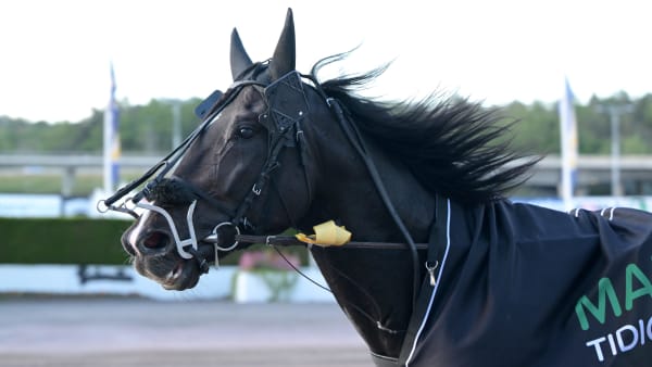 Foto: LARS JAKOBSSON / TR BILD