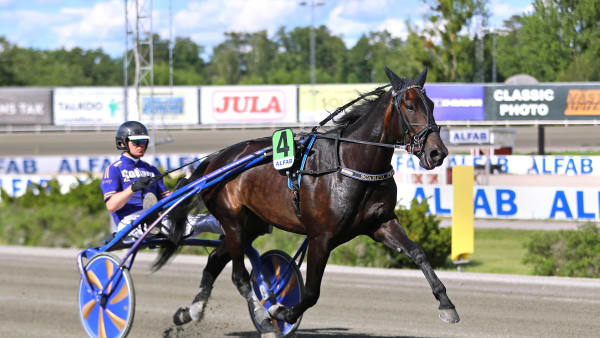 Foto: MARIA HOLMÉN / TR BILD