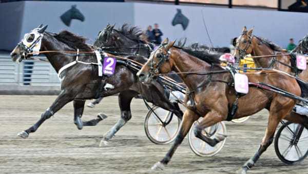 Foto: TOMMY ANDERSSON/ALN