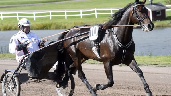 Foto: Martin Langels/ALN