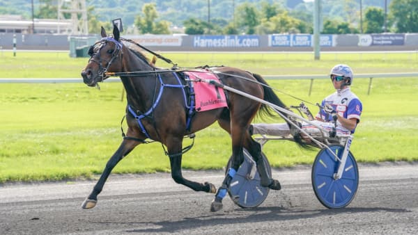 Foto: Thomas Blomqvist/TR Bild