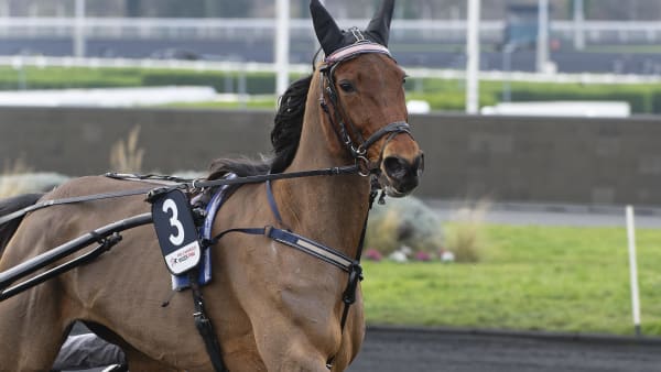 Foto: JEAN-LUC LAMAÈRE/TR BILD