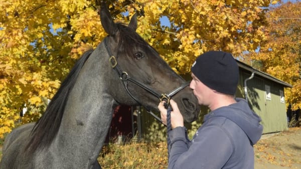 Foto: Lasse Jakobsson/TR Bild