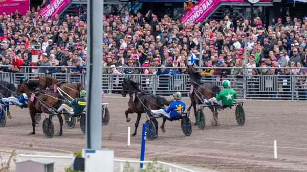 Foto: Thomas Blomvist/TR BILD