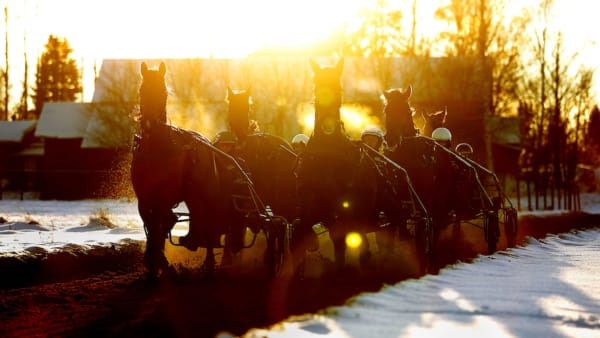 Foto: MARIA HOLMÉN/TR BILD