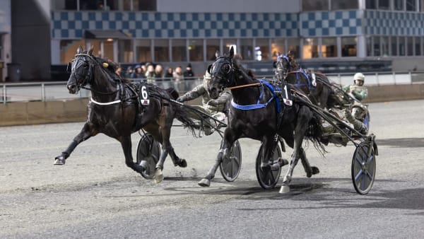 Foto: LENA EMMOTH / TR BILD