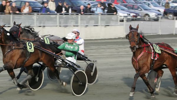 Foto: Anders Kongsrud/hesteguiden.com/TR Bild