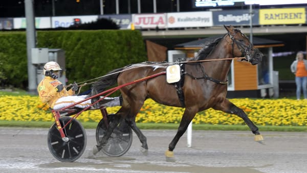 Foto: LARS JAKOBSSON / TR BILD