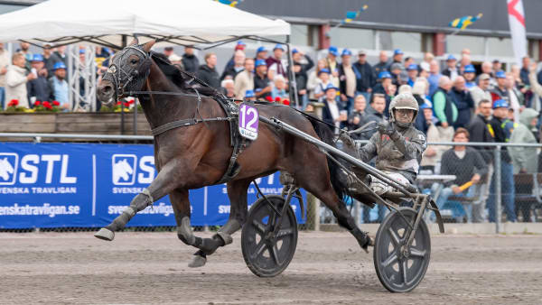 Foto: MIKAEL ROSENQUIST / TR BILD