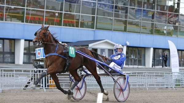 Foto: MARIA HOLMÉN / TR BILD