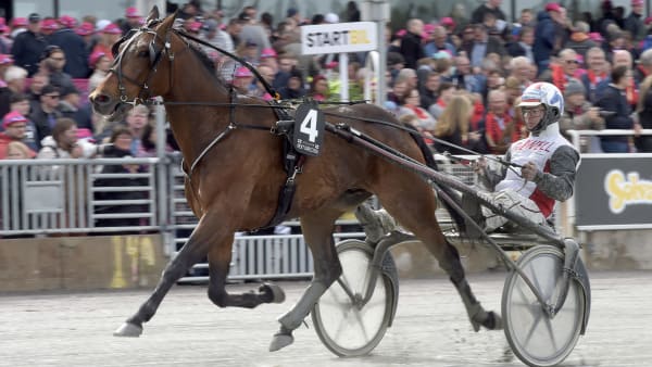 Foto: LARS JAKOBSSON / TR BILD